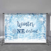 Lofaris Winter One-derland Snowflake Photoshoot Backdrops for Baby Shower